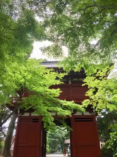 本土寺の山門・神門