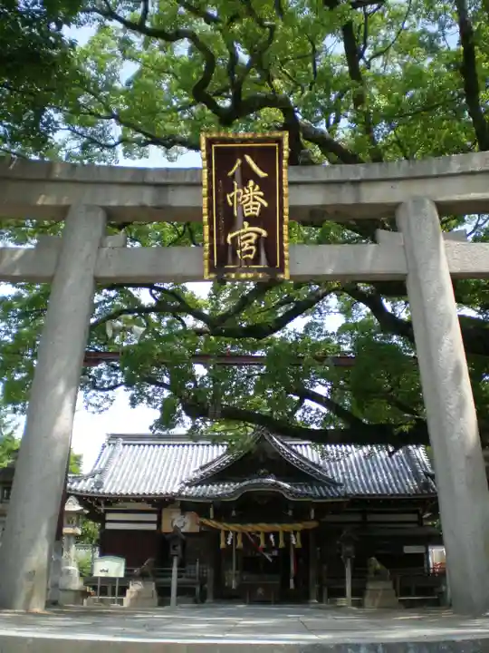 百舌鳥八幡宮の鳥居