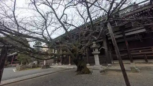 本法寺(京都府)