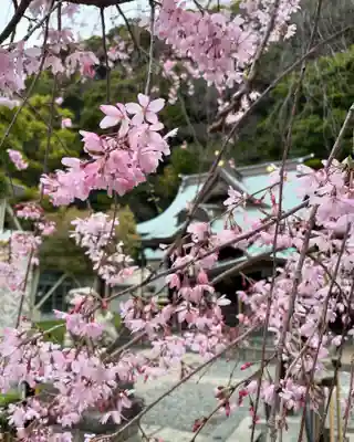 根岸八幡神社(神奈川県)