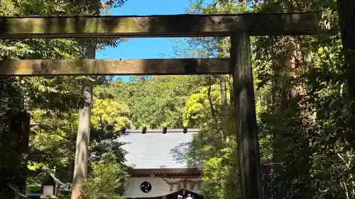 椿大神社の{uncategorized: "未分類", other: "その他", undefined: "問題あり", building: "その他建物", grave: "お墓", sacred_gate: "鳥居", guardian: "狛犬", statue: "像", buddha: "仏像", history: "歴史", nature: "自然", garden: "庭園", animal: "動物", pagoda: "塔", temizu: "手水舎", mountain_gate: "山門・神門", sanctuary: "本殿・本堂", subordinate: "末社・摂社", art: "芸術", scenery: "景色", jizo: "地蔵", ema: "絵馬", goshuin: "御朱印", omikuji: "おみくじ", items: "授与品その他", amulet: "お守り", goshuincho: "御朱印帳", eats: "食事", festival: "お祭り", votive_dance: "神楽", shichigosan: "七五三参", wedding: "結婚式", experience: "体験その他", initially: "初詣", around: "周辺", anti_infection: "感染症対策"}