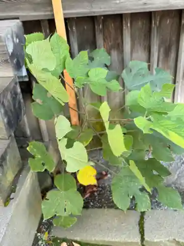 八剣神社(長野県)