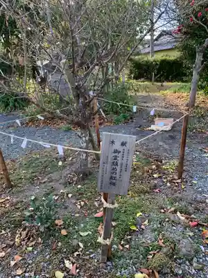 久之浜諏訪神社の自然