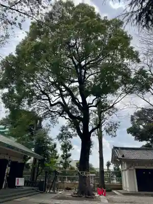 駒込天祖神社(東京都)