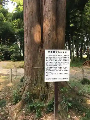 大神神社のその他建物