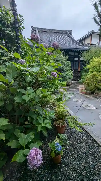 長徳寺(京都府)