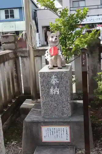 今泉八坂神社の狛犬