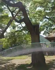 加茂神社(長野県)