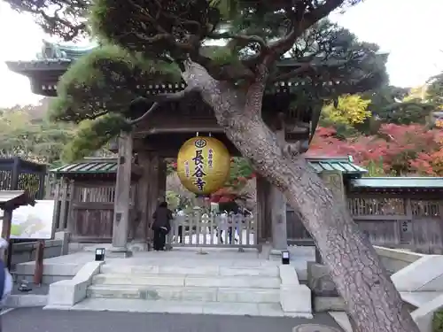 長谷寺の山門・神門