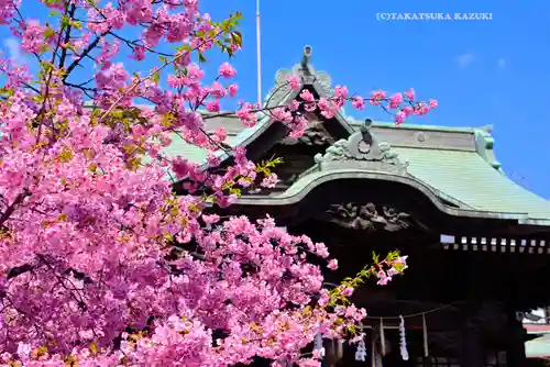 桜神宮(東京都)