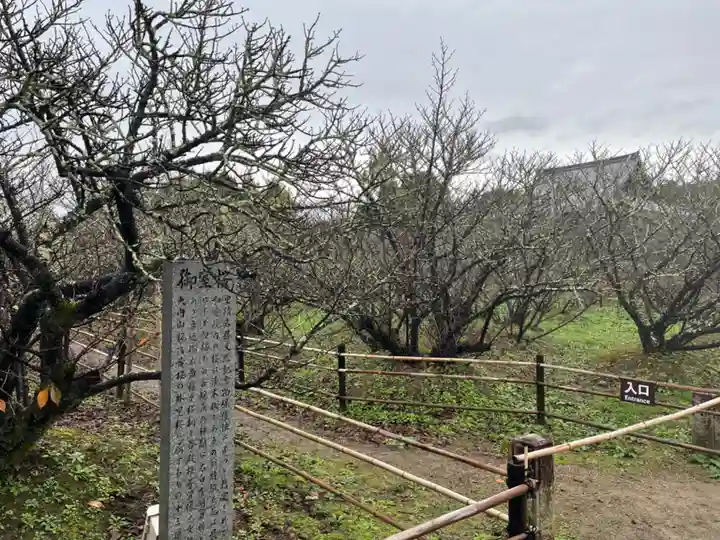 仁和寺(京都府)