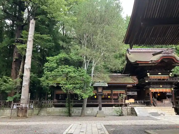 諏訪大社下社秋宮(長野県)
