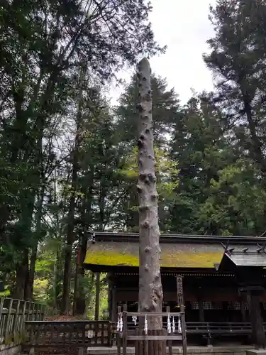 諏訪大社下社春宮の自然