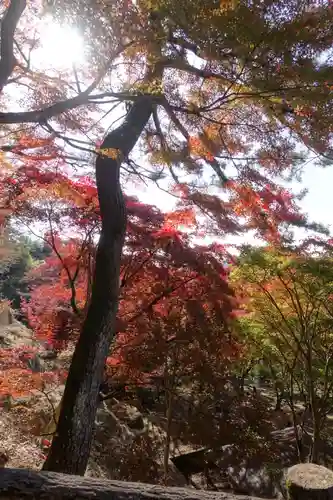 笠置寺の景色