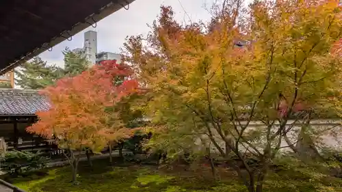 興聖寺(京都府)