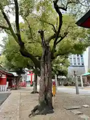 御霊神社(大阪府)