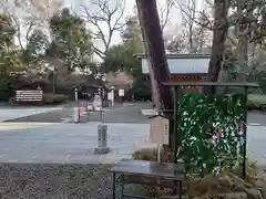 櫻木神社の自然