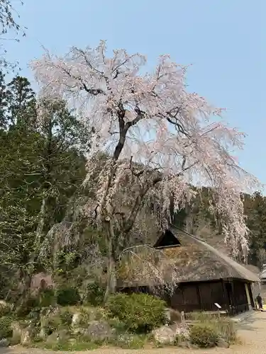 高麗神社(埼玉県)