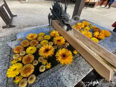 川越八幡宮の手水舎