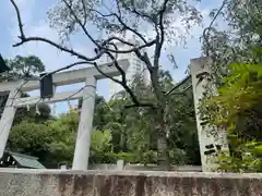 乃木神社の鳥居