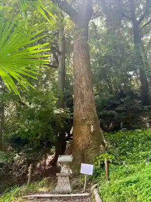 八幡神社(静岡県)