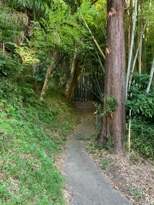宇迦神社の周辺