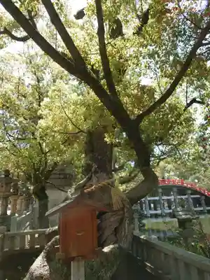 住吉大社(大阪府)