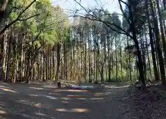 箱根神社の周辺