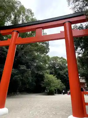 賀茂御祖神社(下鴨神社)の鳥居