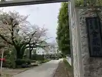 金藏院の{uncategorized: "未分類", other: "その他", undefined: "問題あり", building: "その他建物", grave: "お墓", sacred_gate: "鳥居", guardian: "狛犬", statue: "像", buddha: "仏像", history: "歴史", nature: "自然", garden: "庭園", animal: "動物", pagoda: "塔", temizu: "手水舎", mountain_gate: "山門・神門", sanctuary: "本殿・本堂", subordinate: "末社・摂社", art: "芸術", scenery: "景色", jizo: "地蔵", ema: "絵馬", goshuin: "御朱印", omikuji: "おみくじ", items: "授与品その他", amulet: "お守り", goshuincho: "御朱印帳", eats: "食事", festival: "お祭り", votive_dance: "神楽", shichigosan: "七五三参", wedding: "結婚式", experience: "体験その他", initially: "初詣", around: "周辺", anti_infection: "感染症対策"}