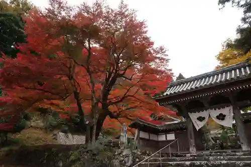 悉地院(滋賀県)