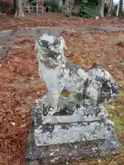 高根神社の狛犬