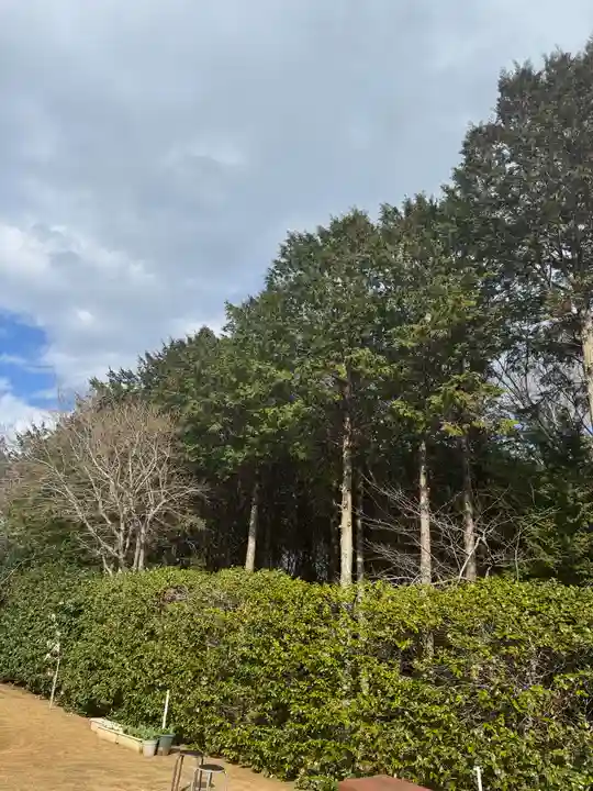 椿ノ海 水神社(千葉県)