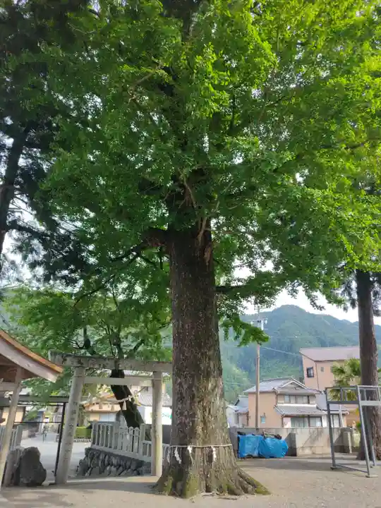 花岡神社(三重県)