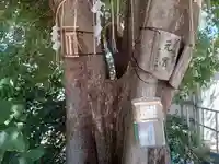 太田姫稲荷神社跡(一口神社)(東京都)