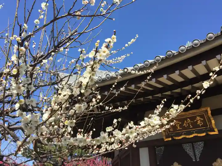 法華経寺の自然
