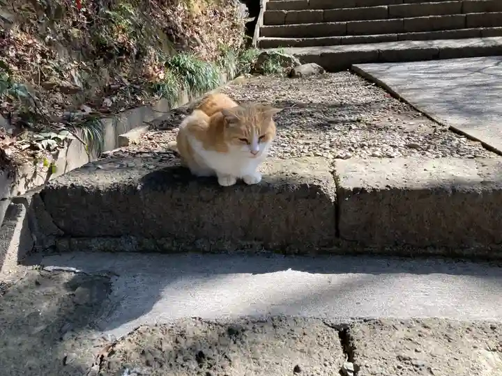 唐澤山神社(栃木県)