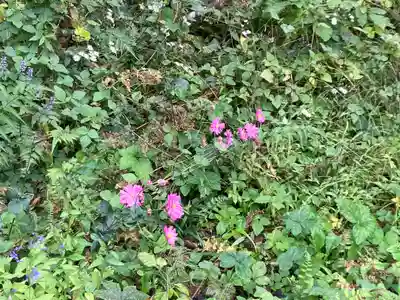 黄梅院（円覚寺塔頭）(神奈川県)