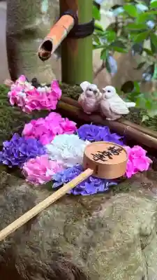 柳谷観音　楊谷寺(京都府)