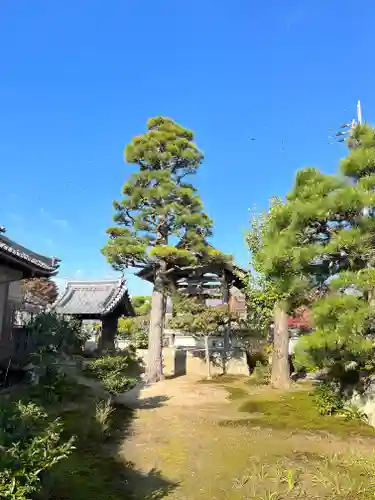 寿寧寺(滋賀県)
