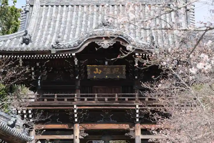 粉河寺の山門・神門