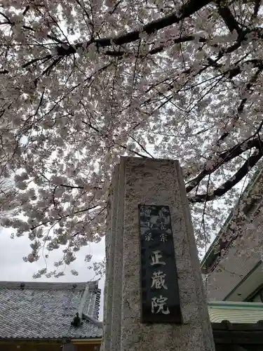 正蔵院(東京都)