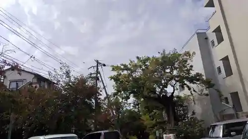 安井金比羅宮(京都府)