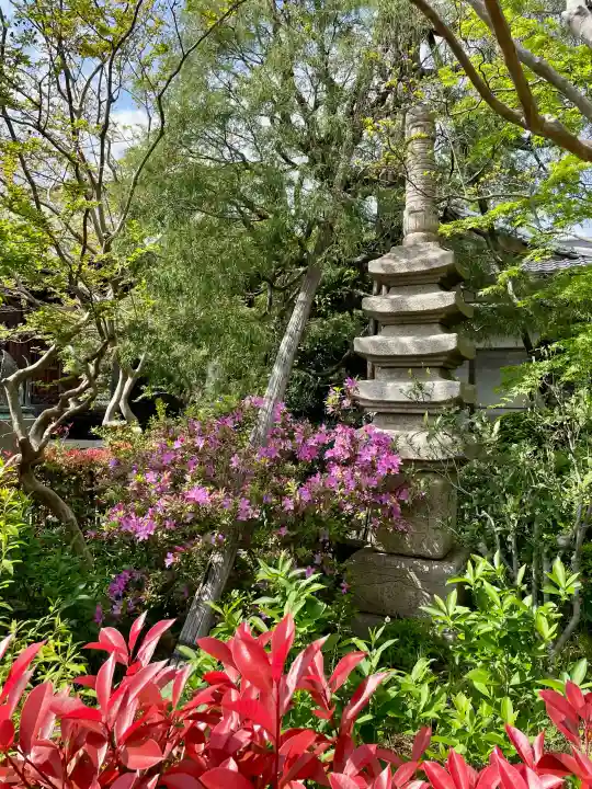 薬王院の{uncategorized: "未分類", other: "その他", undefined: "問題あり", building: "その他建物", grave: "お墓", sacred_gate: "鳥居", guardian: "狛犬", statue: "像", buddha: "仏像", history: "歴史", nature: "自然", garden: "庭園", animal: "動物", pagoda: "塔", temizu: "手水舎", mountain_gate: "山門・神門", sanctuary: "本殿・本堂", subordinate: "末社・摂社", art: "芸術", scenery: "景色", jizo: "地蔵", ema: "絵馬", goshuin: "御朱印", omikuji: "おみくじ", items: "授与品その他", amulet: "お守り", goshuincho: "御朱印帳", eats: "食事", festival: "お祭り", votive_dance: "神楽", shichigosan: "七五三参", wedding: "結婚式", experience: "体験その他", initially: "初詣", around: "周辺", anti_infection: "感染症対策"}