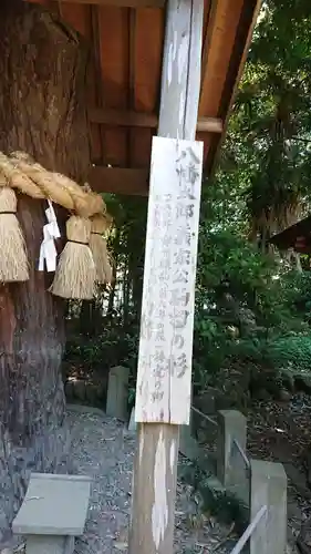 三ケ尻八幡神社の自然