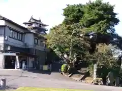 丸岡城八幡神社(福井県)