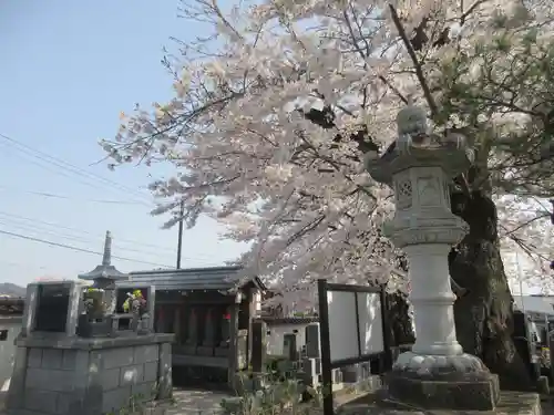 宗青寺(岩手県)