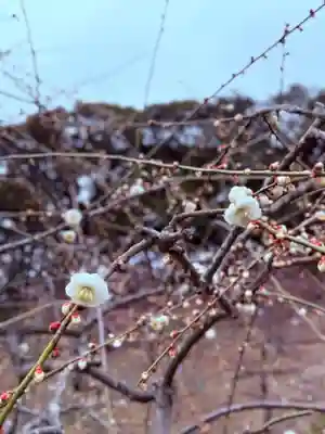 大縣神社(愛知県)