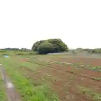 大宮神社の周辺