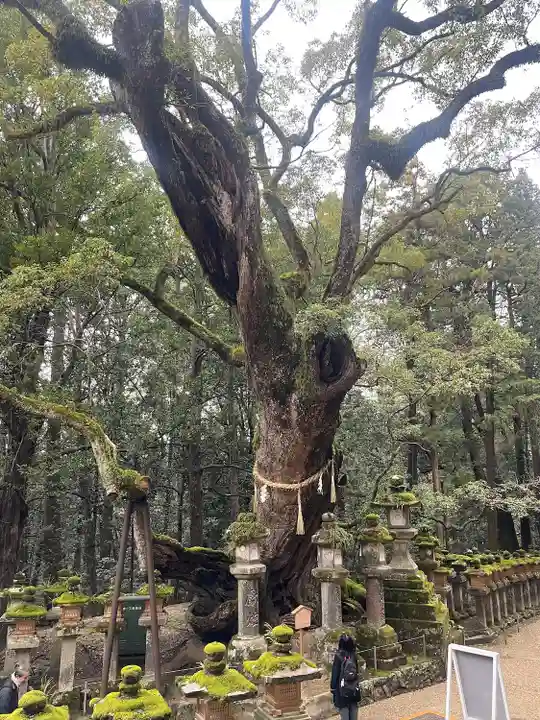 春日大社(奈良県)